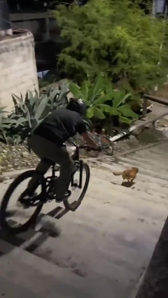狗命要紧，溜了再说！