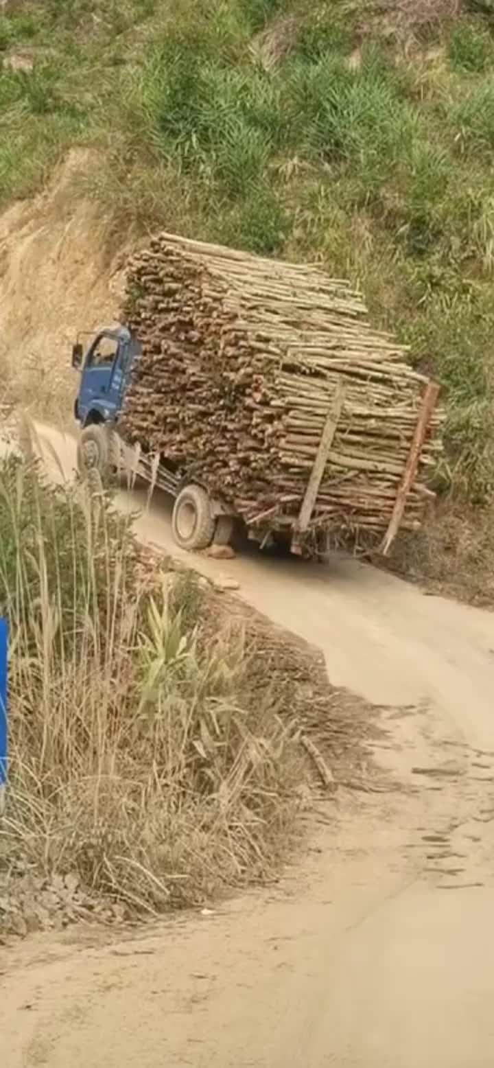 请问如果是倒车可以上去吗