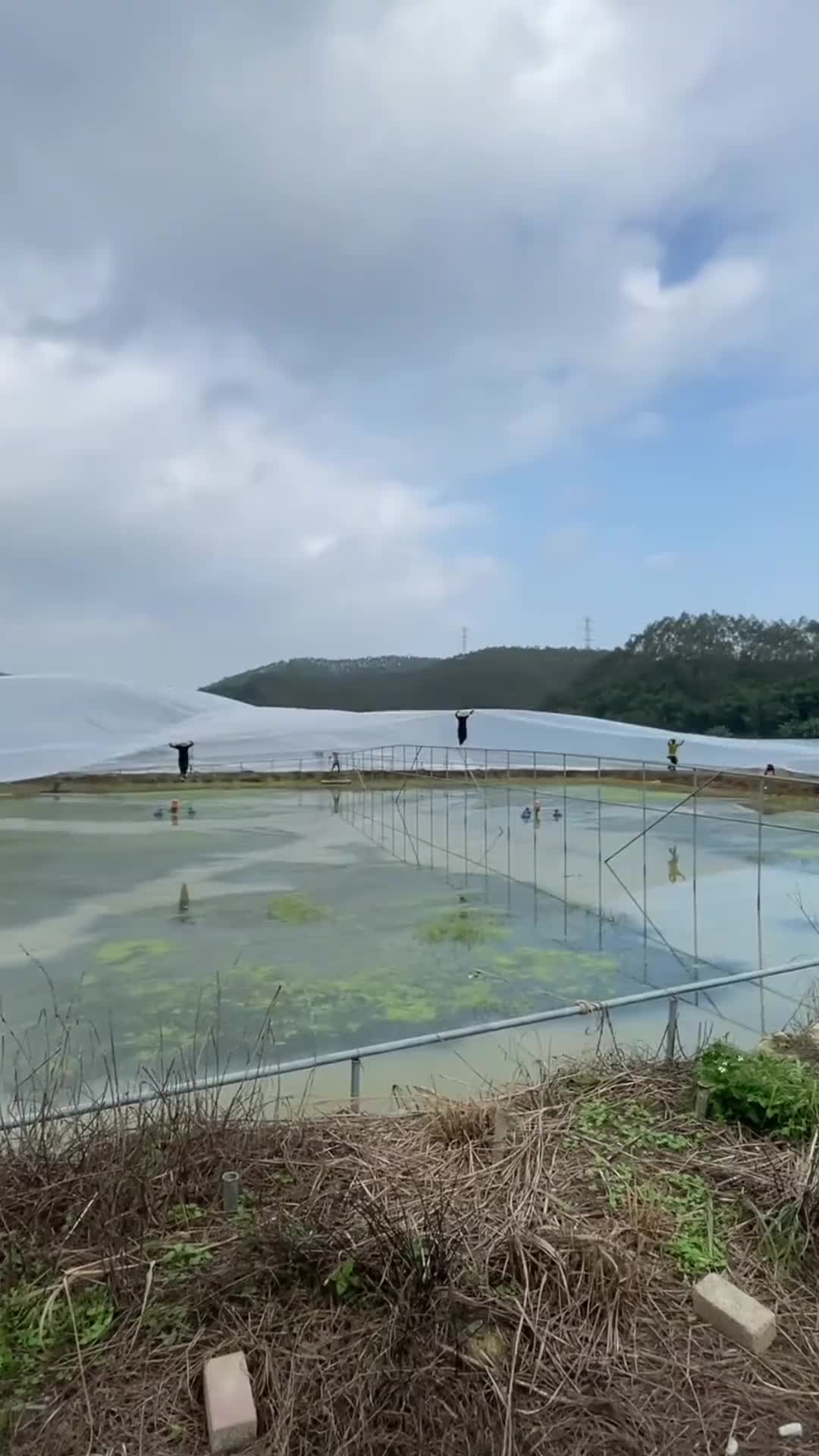 看了好几遍才发现中间有东西，是钢筋吗