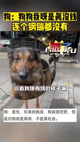 狗：狗狗我呀是真没钱，连个钢镚都没有