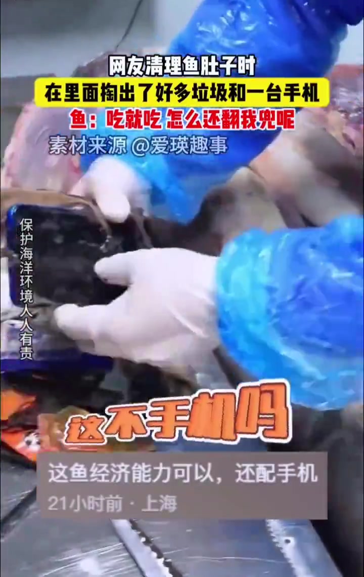 海里的鱼现在都爆装备