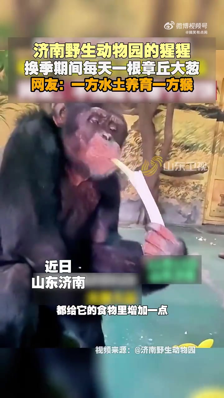 你倒是给它整点酱蘸着吃啊