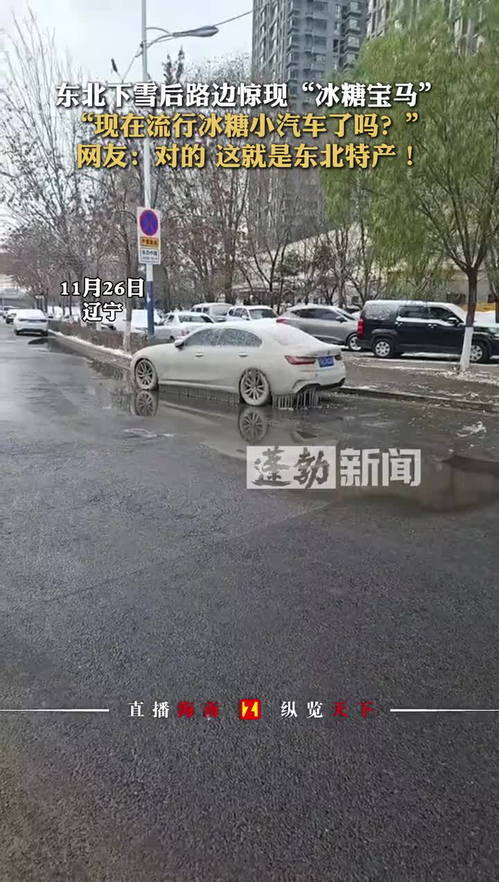 东北下雪后路边惊现“冰糖宝马”，“现在流行冰糖小汽车了吗”