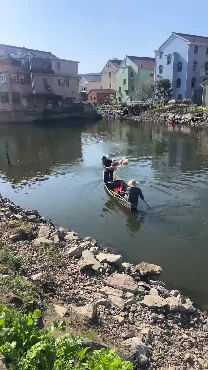 除了网里没鱼，到处都是鱼！