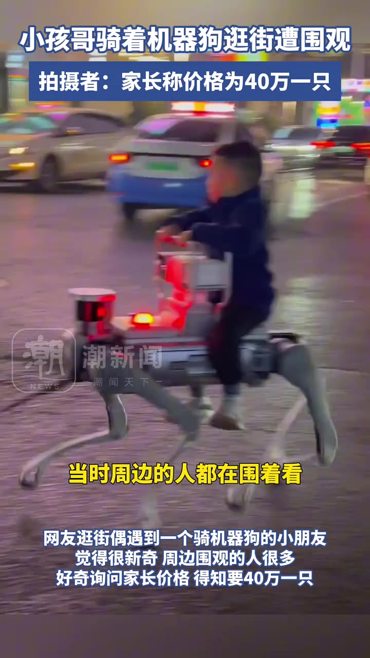 小孩哥骑着机器狗逛街遭围观，拍摄者：家长称价格为40万一只
