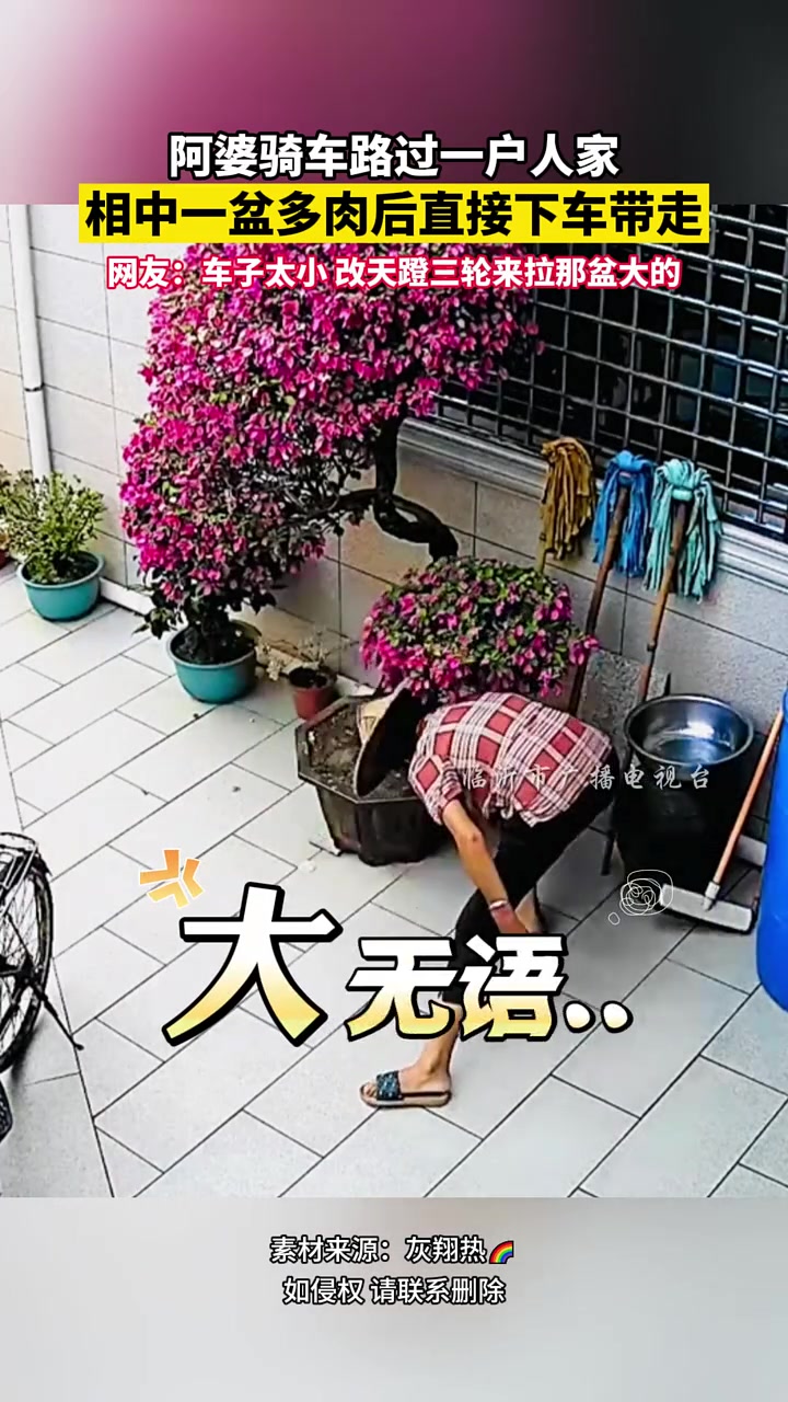 阿婆骑车路过一户人家，相中一盆多肉后直接下车带走