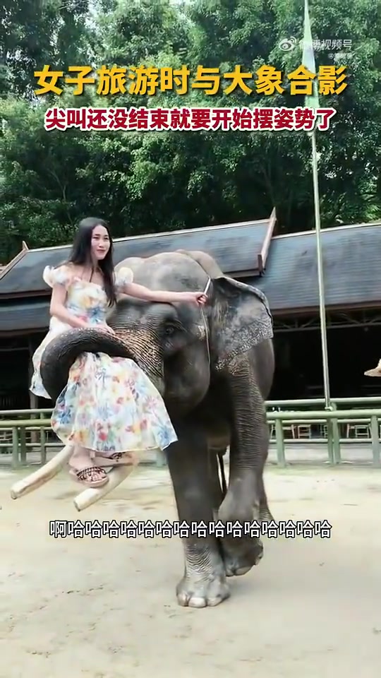 女子旅游时与大象合影，刚惊叫一声就迅速调整姿态摆好姿势！
