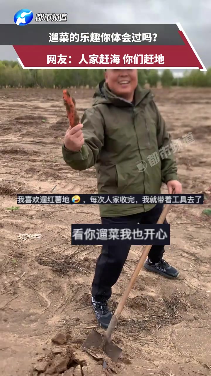 遛菜的乐趣你体会过吗网友：人家赶海，你们赶地