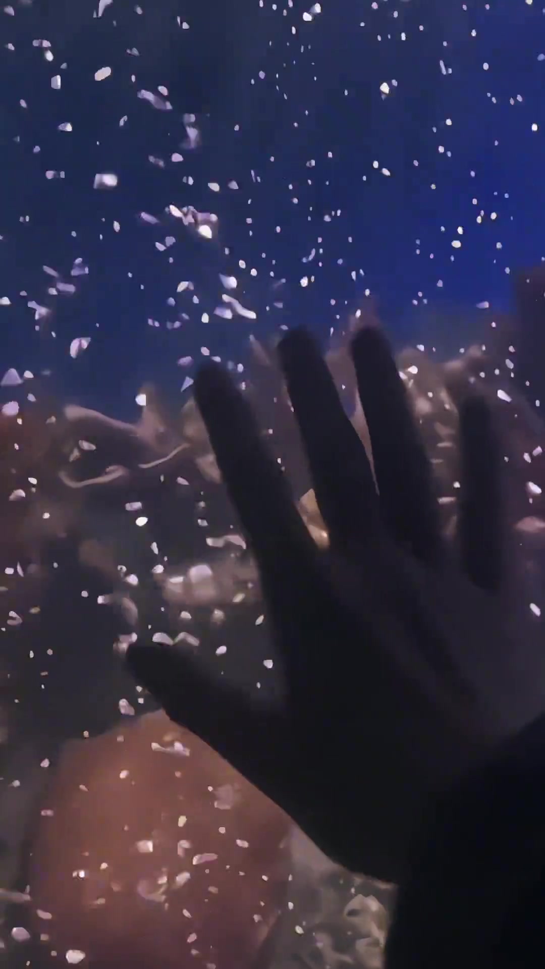 宇宙混沌寂寥，但最后一定出现划破黑夜的拂晓曙光