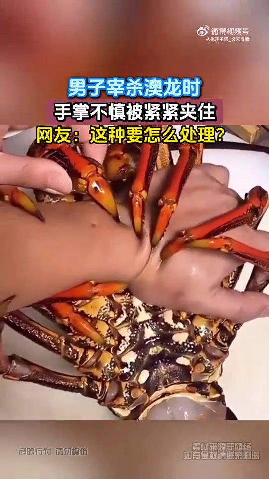 男子宰澳龙手掌被夹，网友问：这种情况咋处理