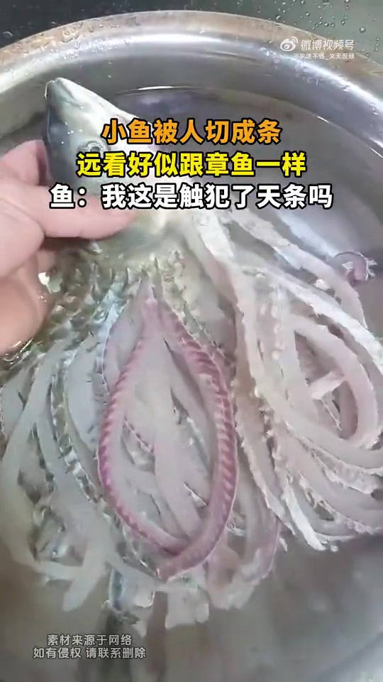 小鱼被切成条像章鱼，鱼：我触犯天条了