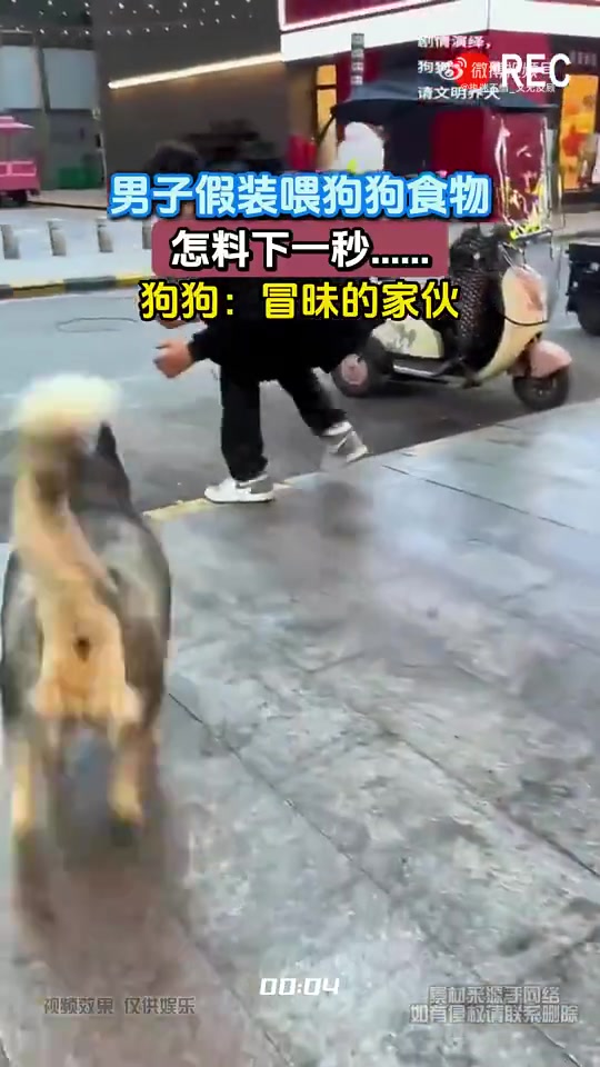 男子假装喂狗食物，下一秒狗狗：冒昧的家伙
