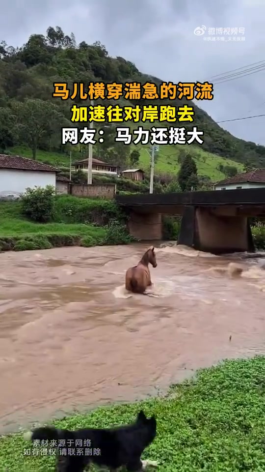 马儿横穿湍急河流加速奔对岸，网友称马力挺大