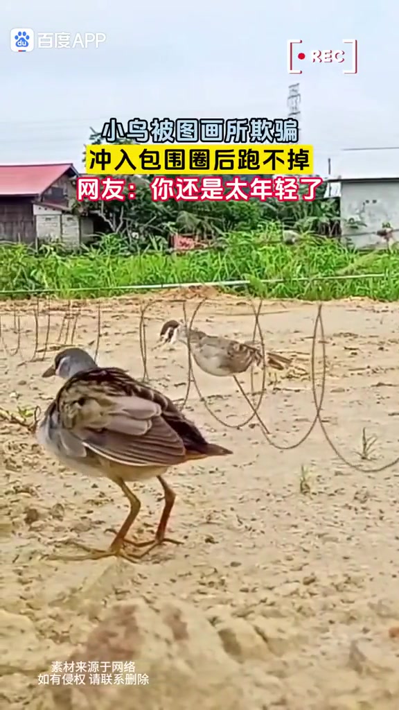 你还是太年轻