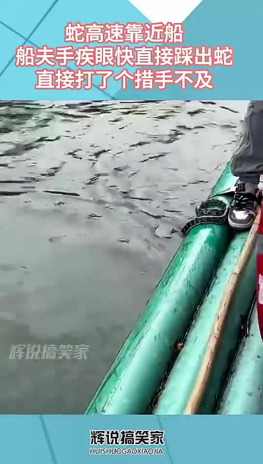蛇高速靠近船，船夫踩住蛇，打了个措手不及！