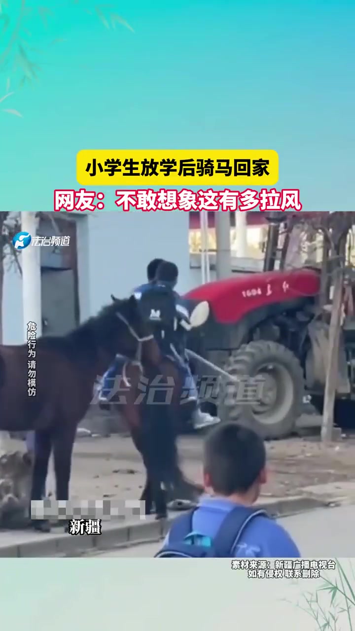 小学生放学后骑马回家，网友不敢想象这有多拉风！