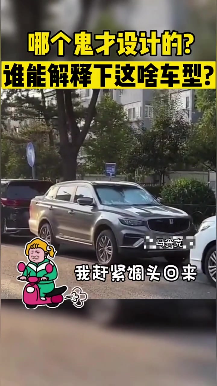 哪个鬼才设计的谁能解释下这啥车型