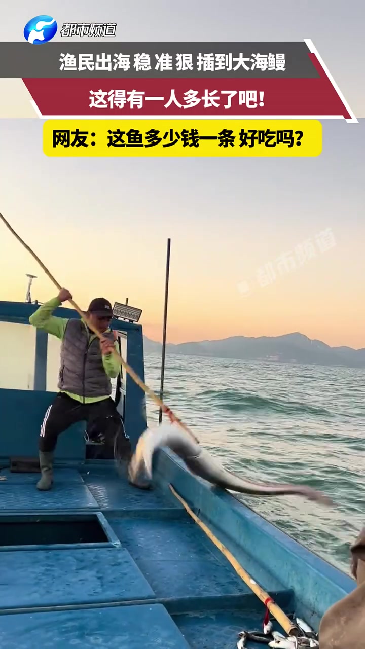 渔民出海插到大海鳗，这得有一人多长了吧！