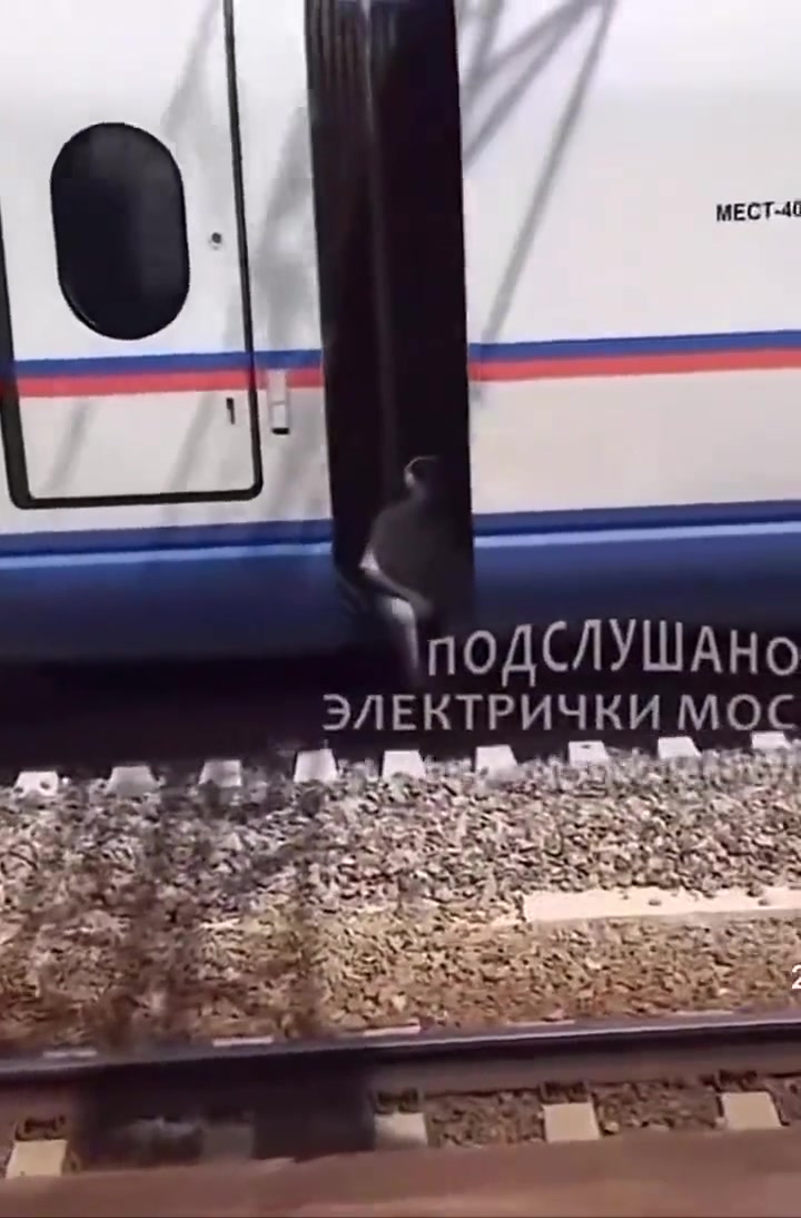 真及时啊，刚好赶上返程列车！
