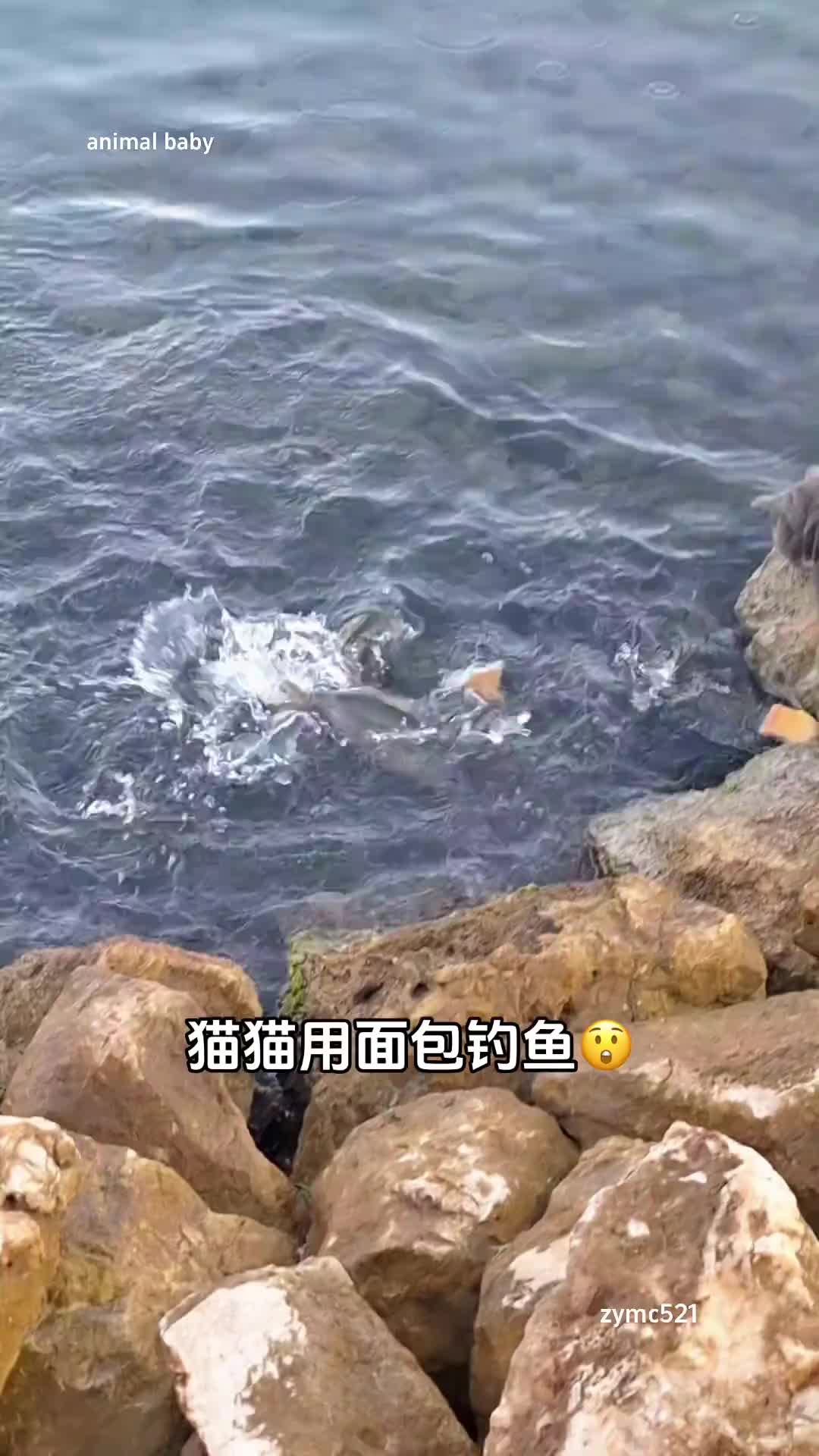 果然是大哥，这么多小老弟跟着！