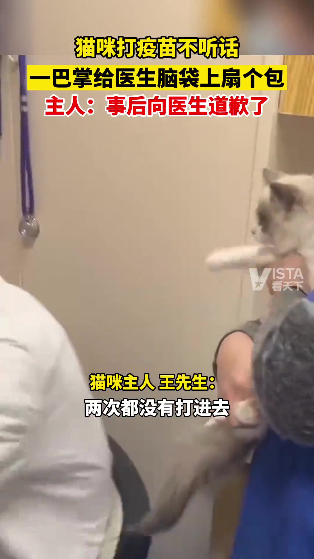 2月17日浙江宁波，猫咪打疫苗不配合，抓医生头，主人事后致歉