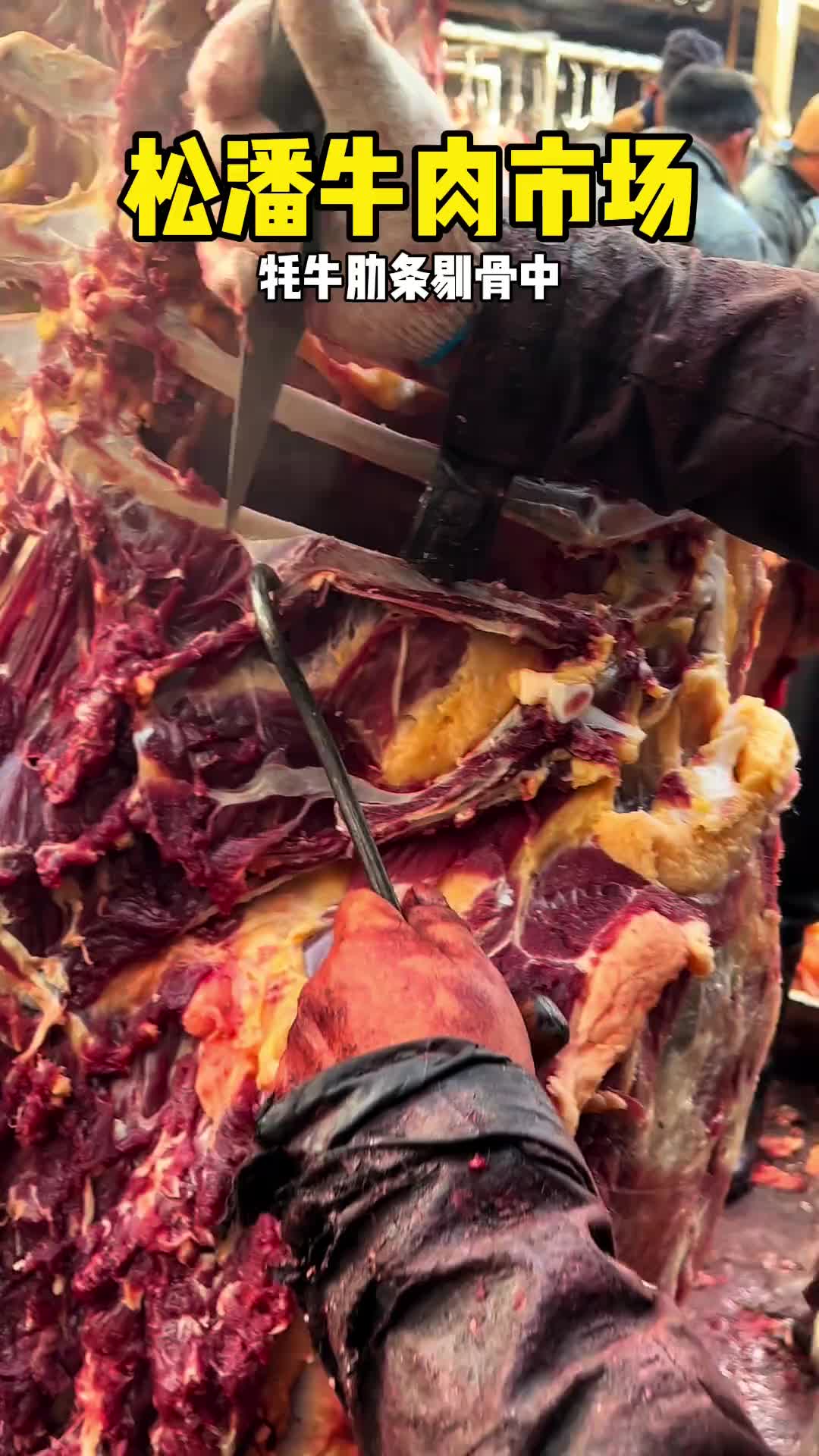 新鲜牛肉，还冒热气！