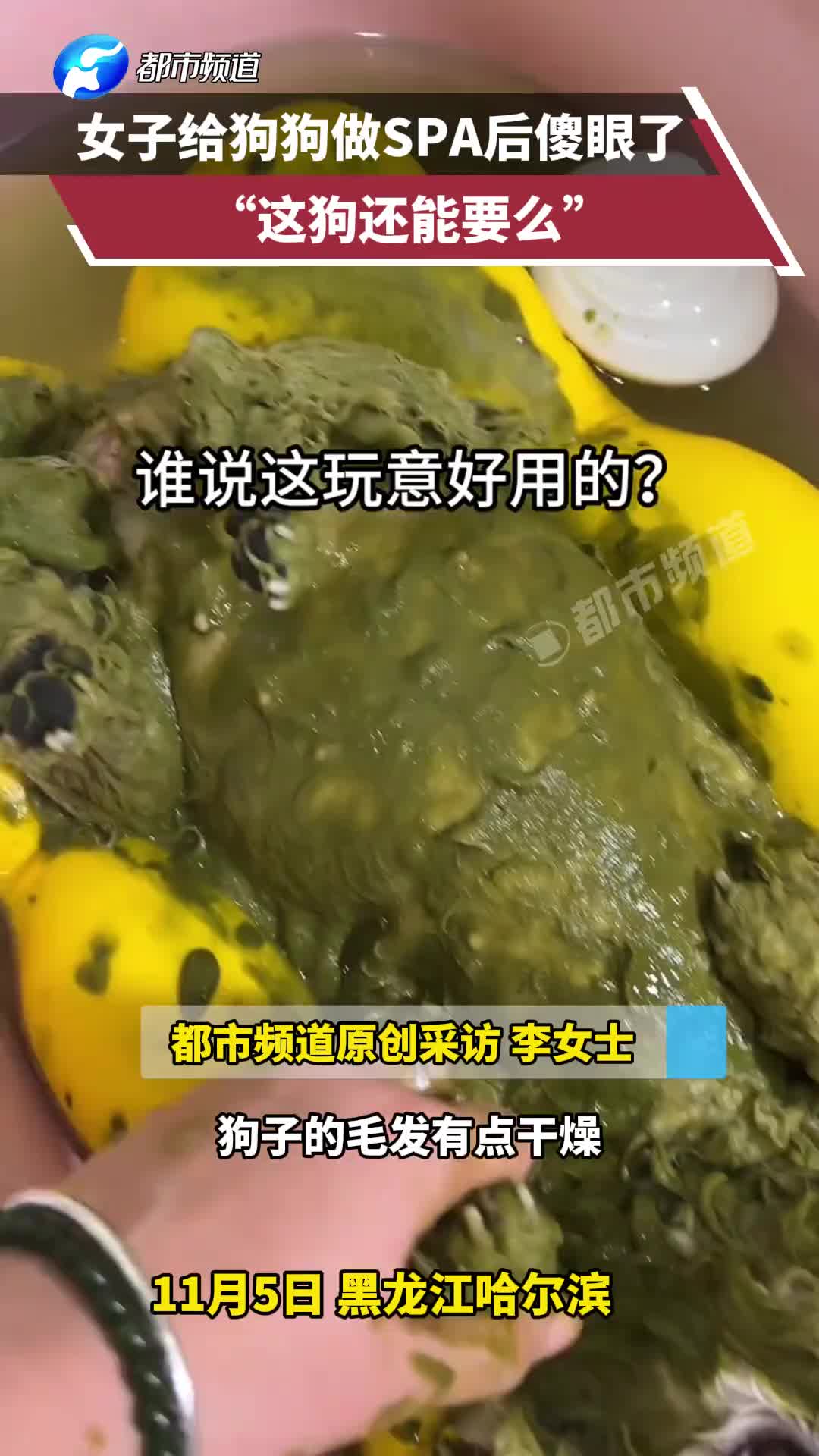女子给狗狗做SPA后傻眼了，“这狗还能要么”