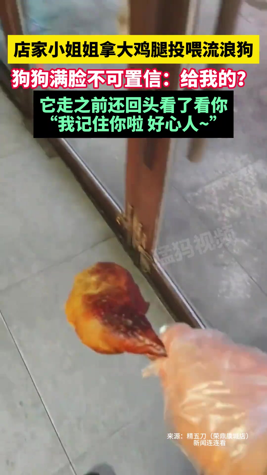 小姐姐拿大鸡腿投喂流浪狗，狗狗满脸不可置信：给我的