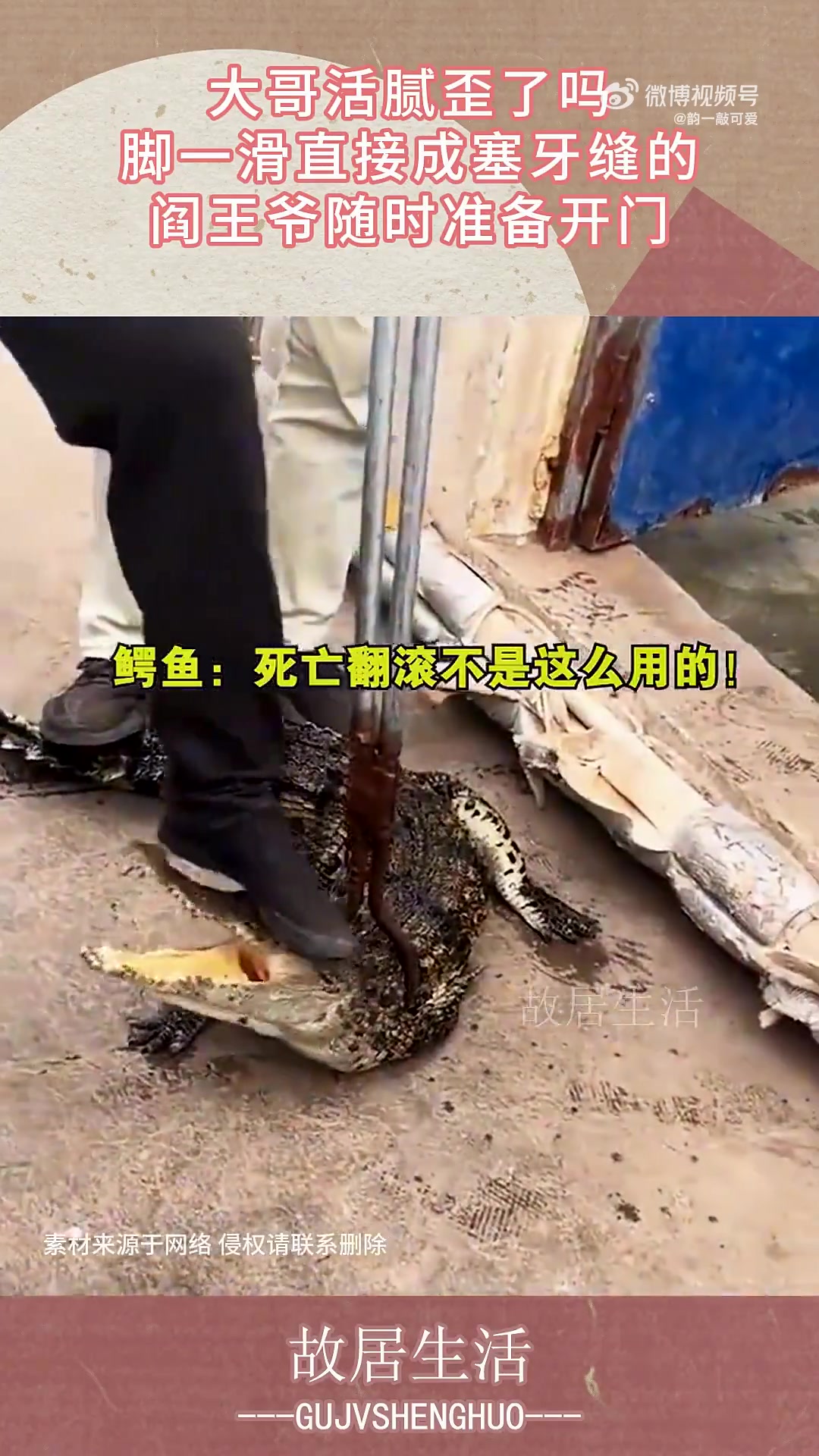大哥活腻歪了吗，脚一滑直接成塞牙缝的，阎王爷随时准备开门