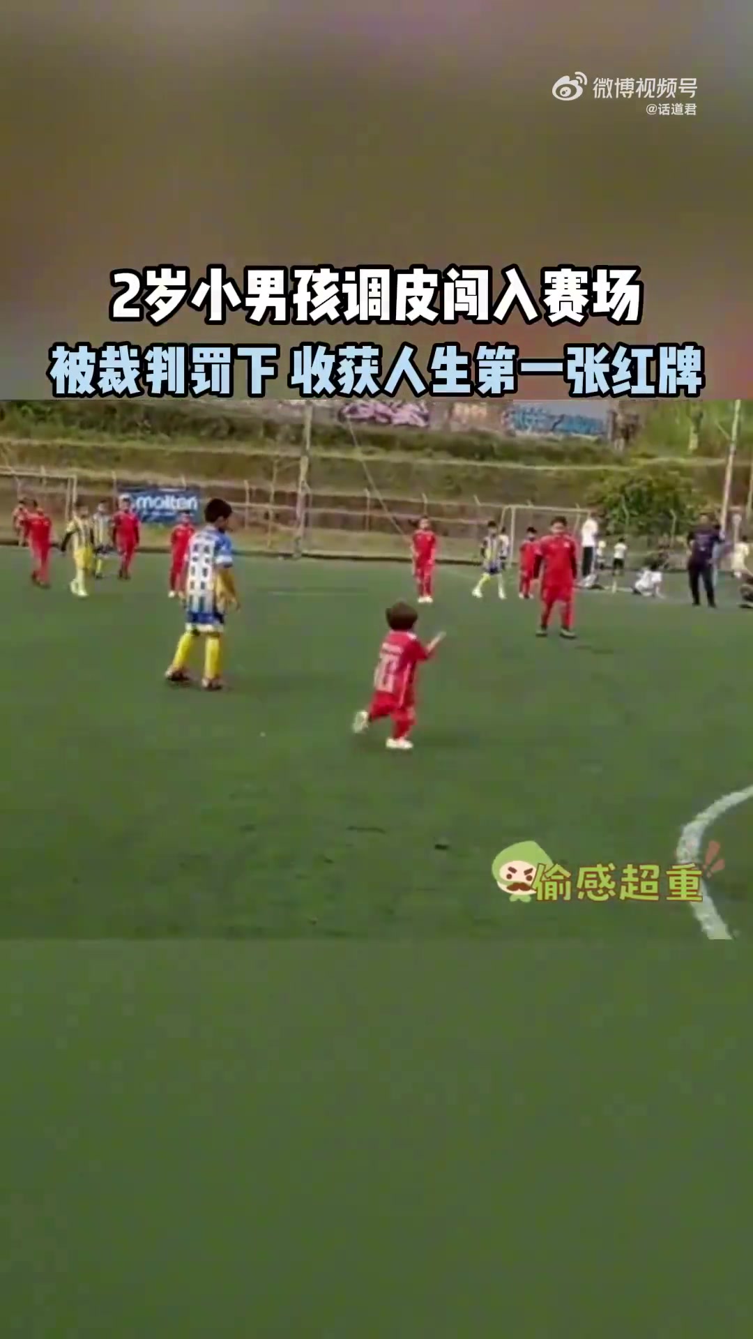 这个裁判真有趣！2岁小男孩闯入赛场成功收获人生第一张红牌！
