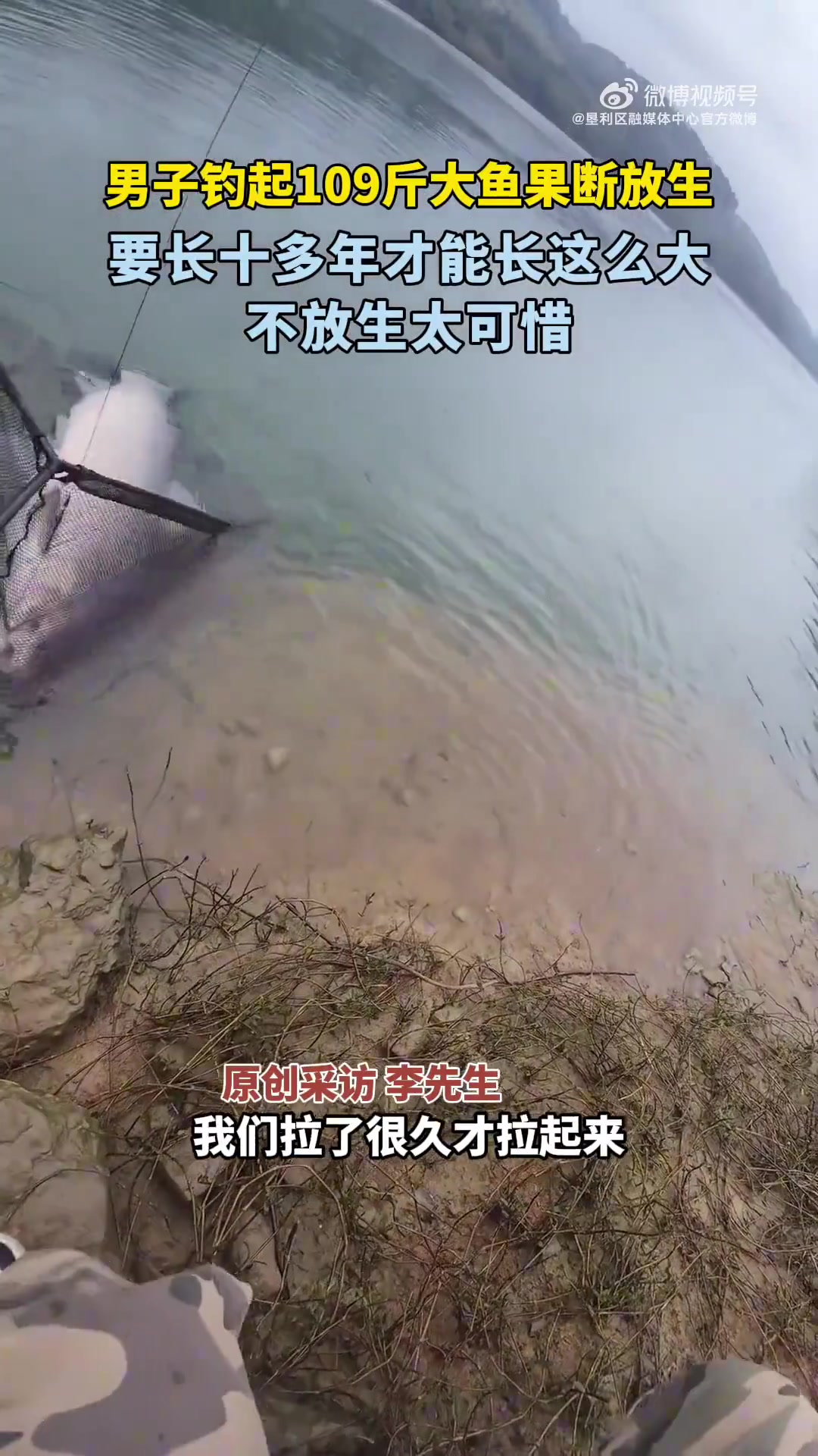男子钓起109斤大鱼果断放生,长十多年才能长这么大，不放生太可惜