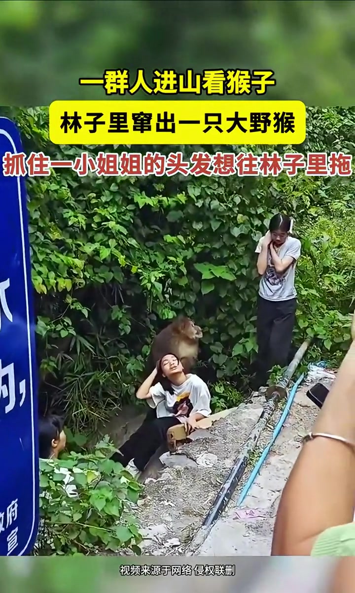 林子里窜出一只大野猴，抓住一个小姐姐的头发想往林子里拖！