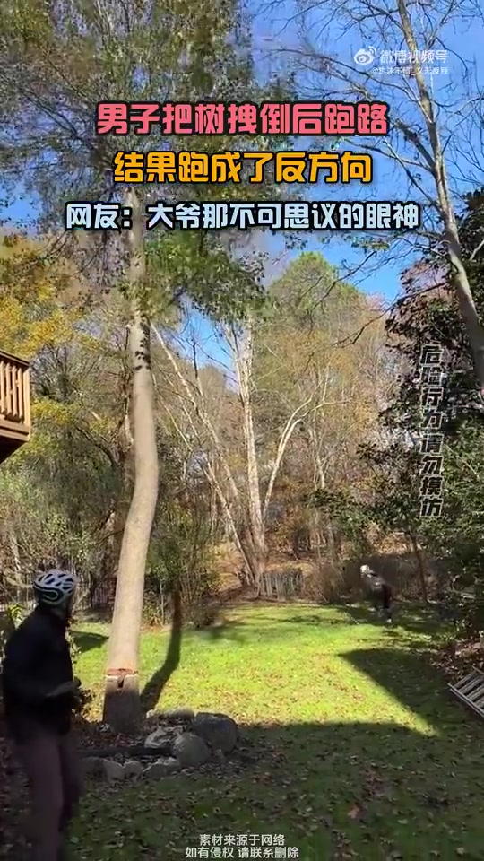 男子把树拽倒后，结果跑成了反方向