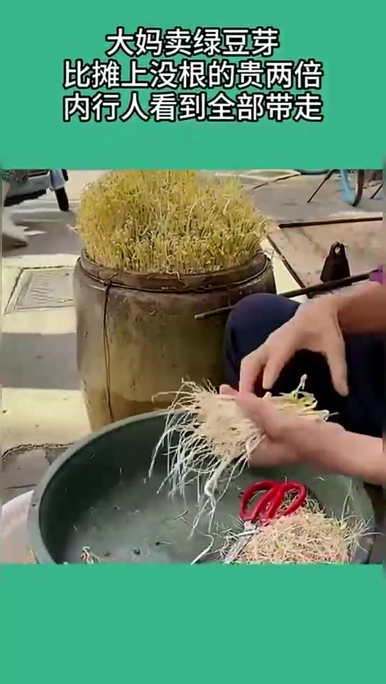 大妈卖绿豆芽，比无根豆芽贵两倍，内行人全带走