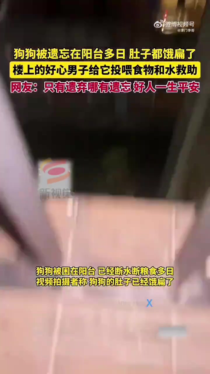 狗狗被遗忘阳台多日，男子投喂救助，网友：哪有遗忘只有遗弃