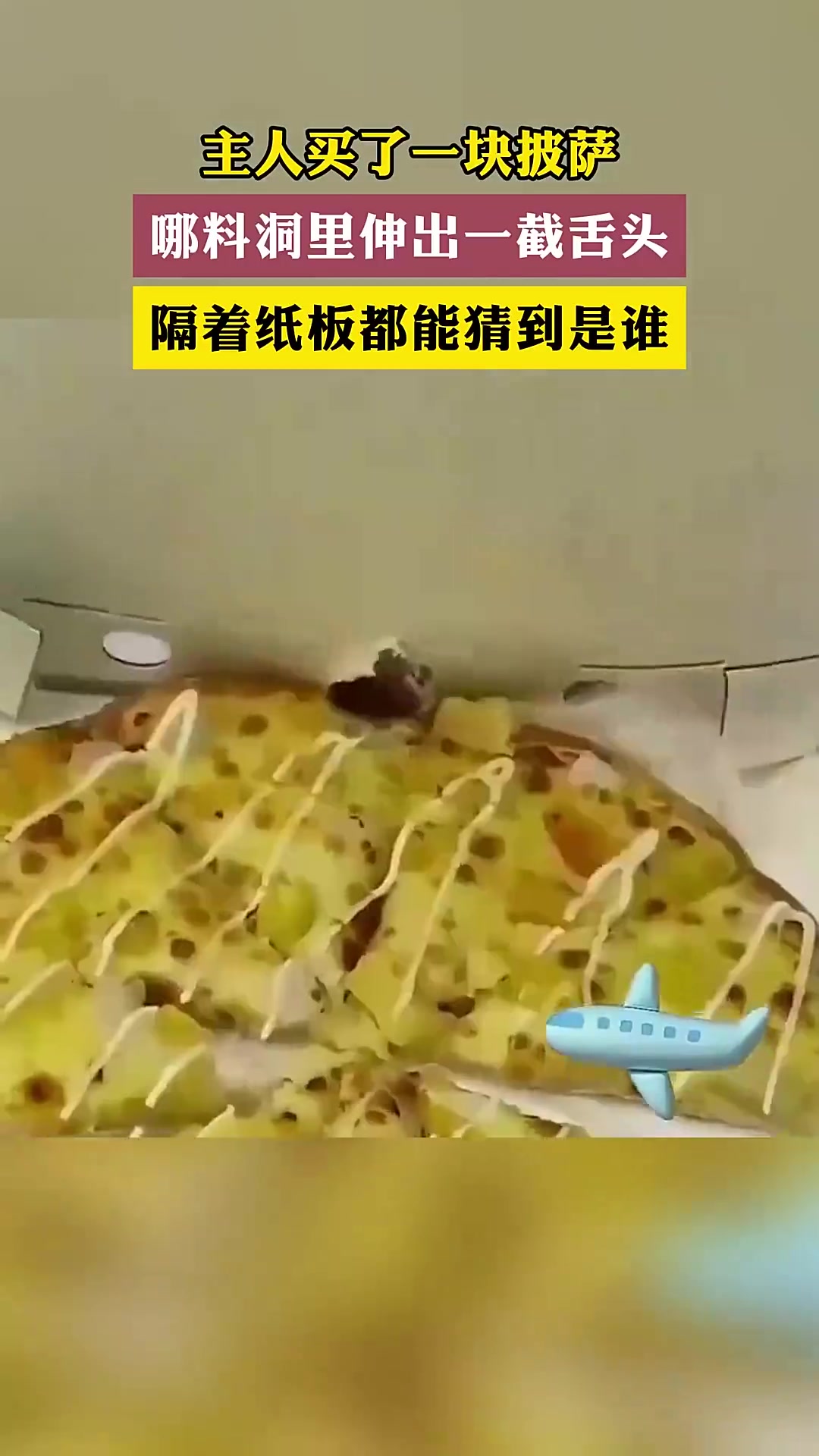 主人买了一块披萨