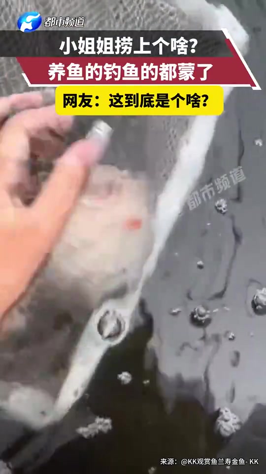 小姐姐捞上个啥养鱼的钓鱼的都蒙了