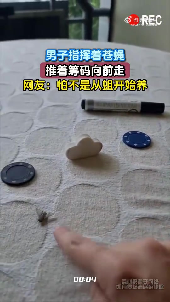 男子指挥着苍蝇，推着筹码向前走，网友：怕不是从蛆开始养