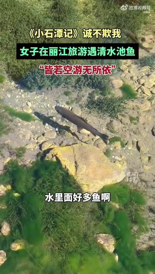 背《小石潭记》真的不理解这句话的意思，真是百闻不如一见啊