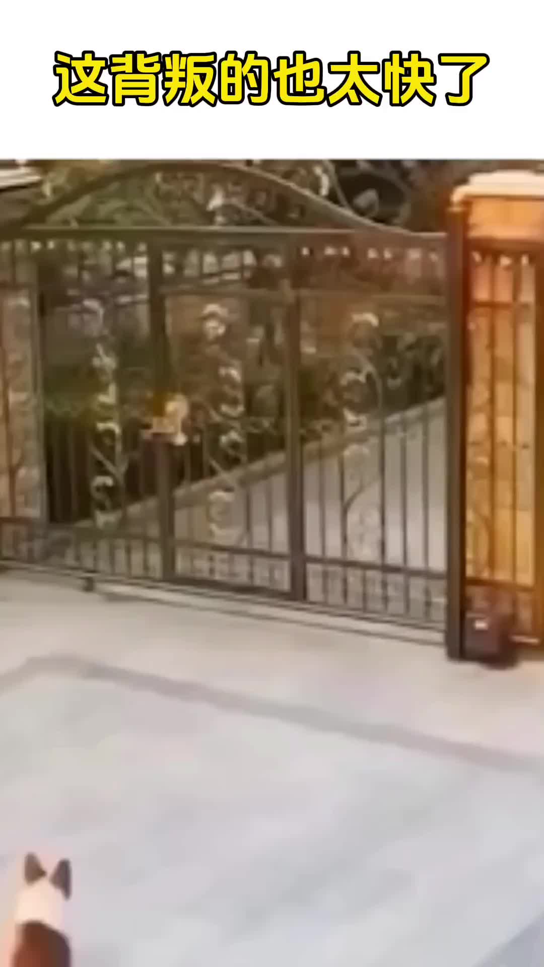 这背叛的速度也太快了