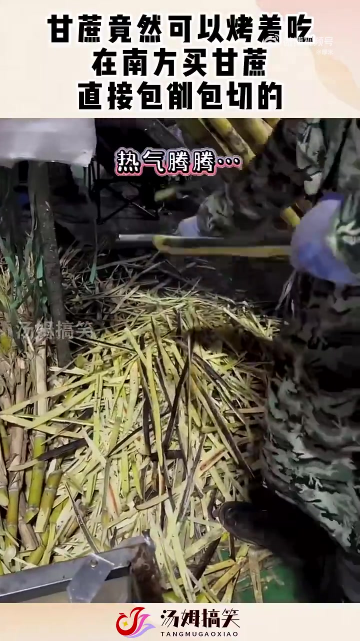 甘蔗竟然可以烤着吃，在南方买甘蔗，直接包削包切的！