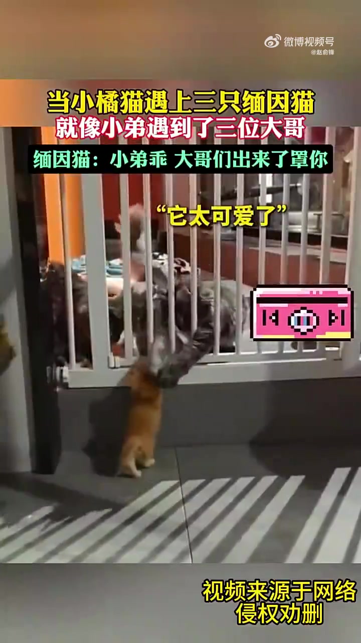 三位弟兄一起为他扶手祷告