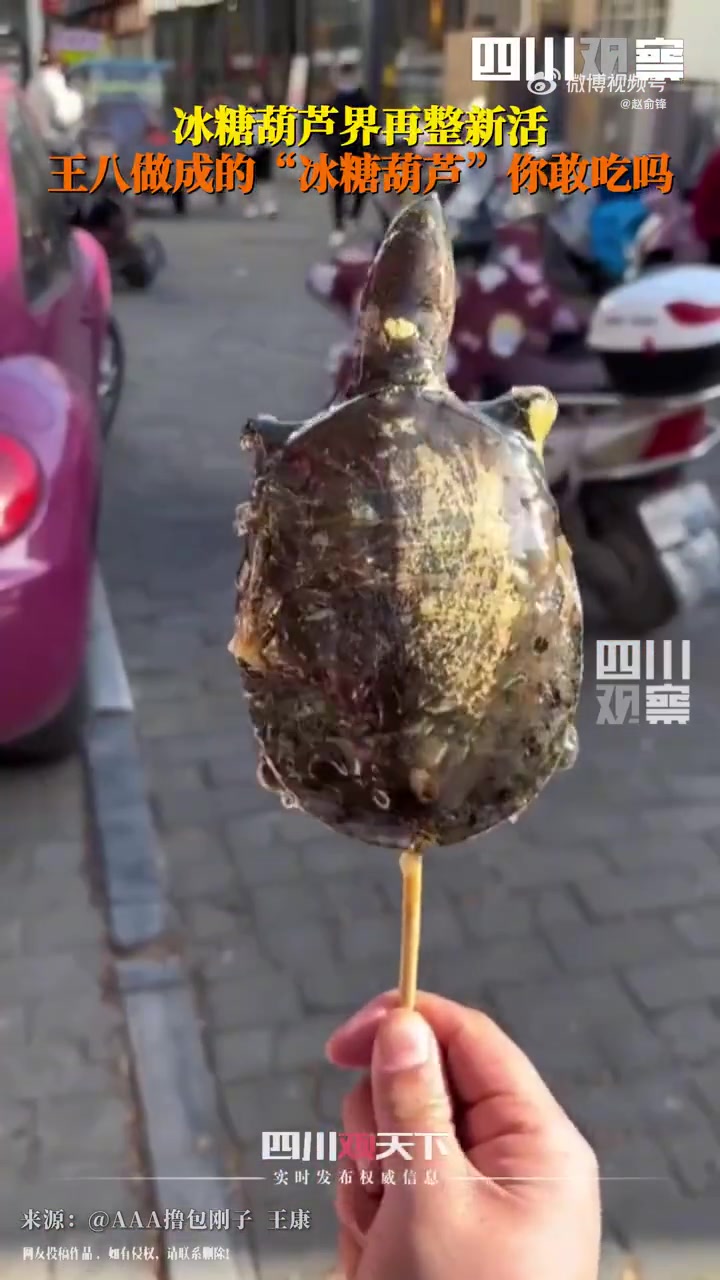 冰糖葫芦界再现天花板：冰糖“王八”
