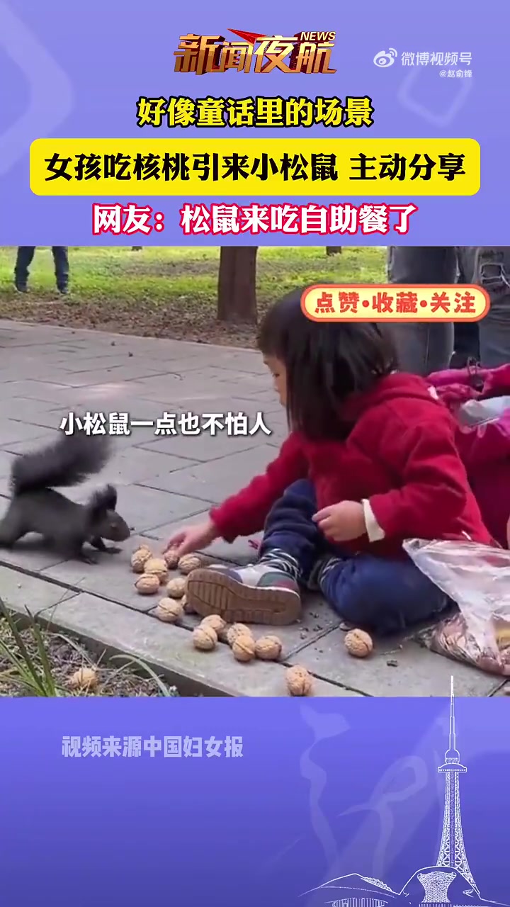 网友：松鼠来吃自助餐了