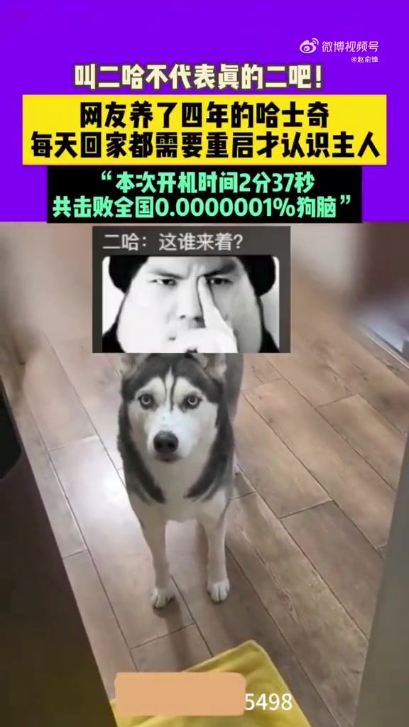 本次开机时间2分37秒，共击败全国0.0000001%狗脑