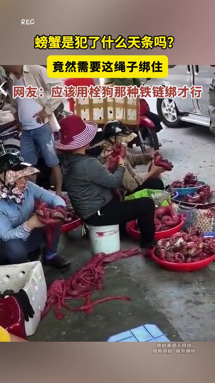 螃蟹是犯了什么天条吗竟然需要这绳子绑住！