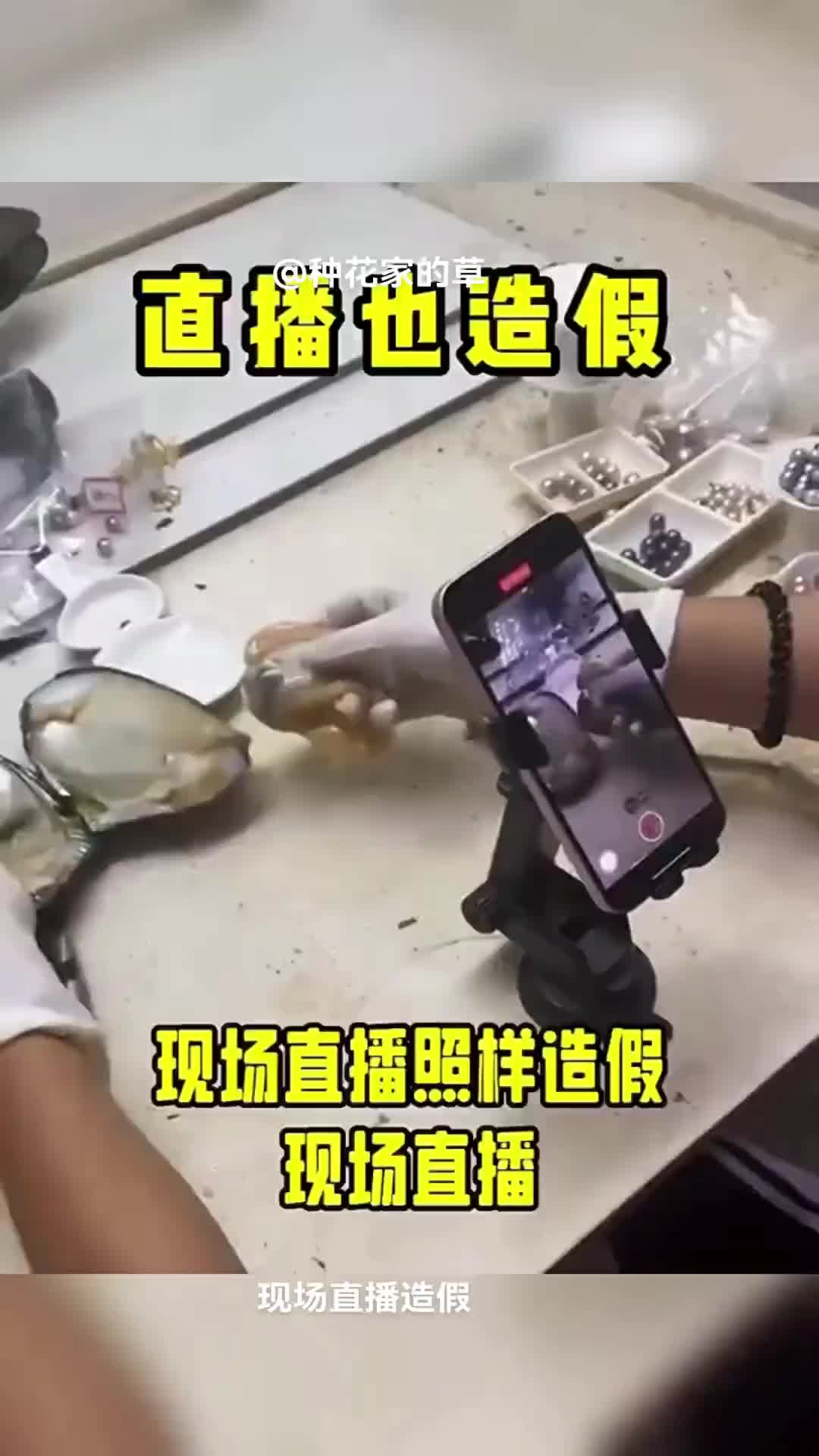 养过珍珠的人都知道，珍珠根本就不是在肉里的！