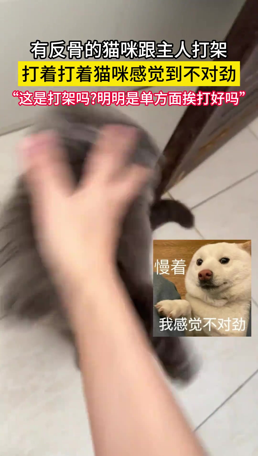 “这是打架吗明明是单方面挨打好吗”