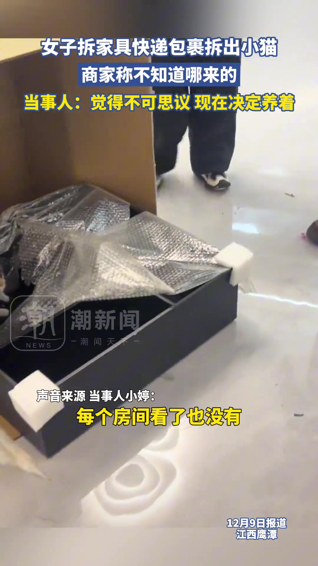女子拆家具快递包裹拆出小猫，商家称不知道哪来的