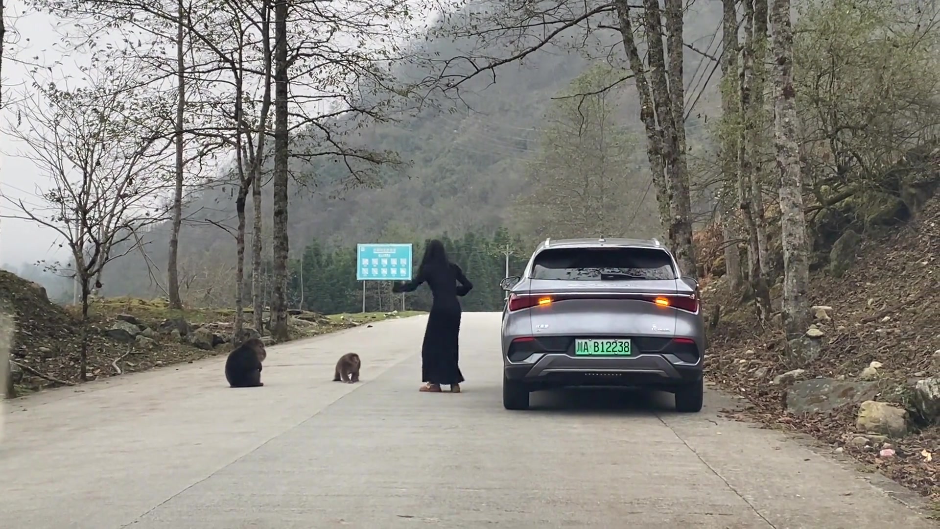 这条路有意思，还能见到小姐姐和群猴的表演